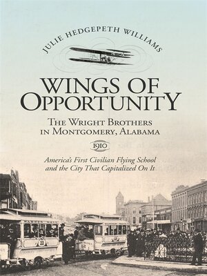 cover image of Wings of Opportunity
